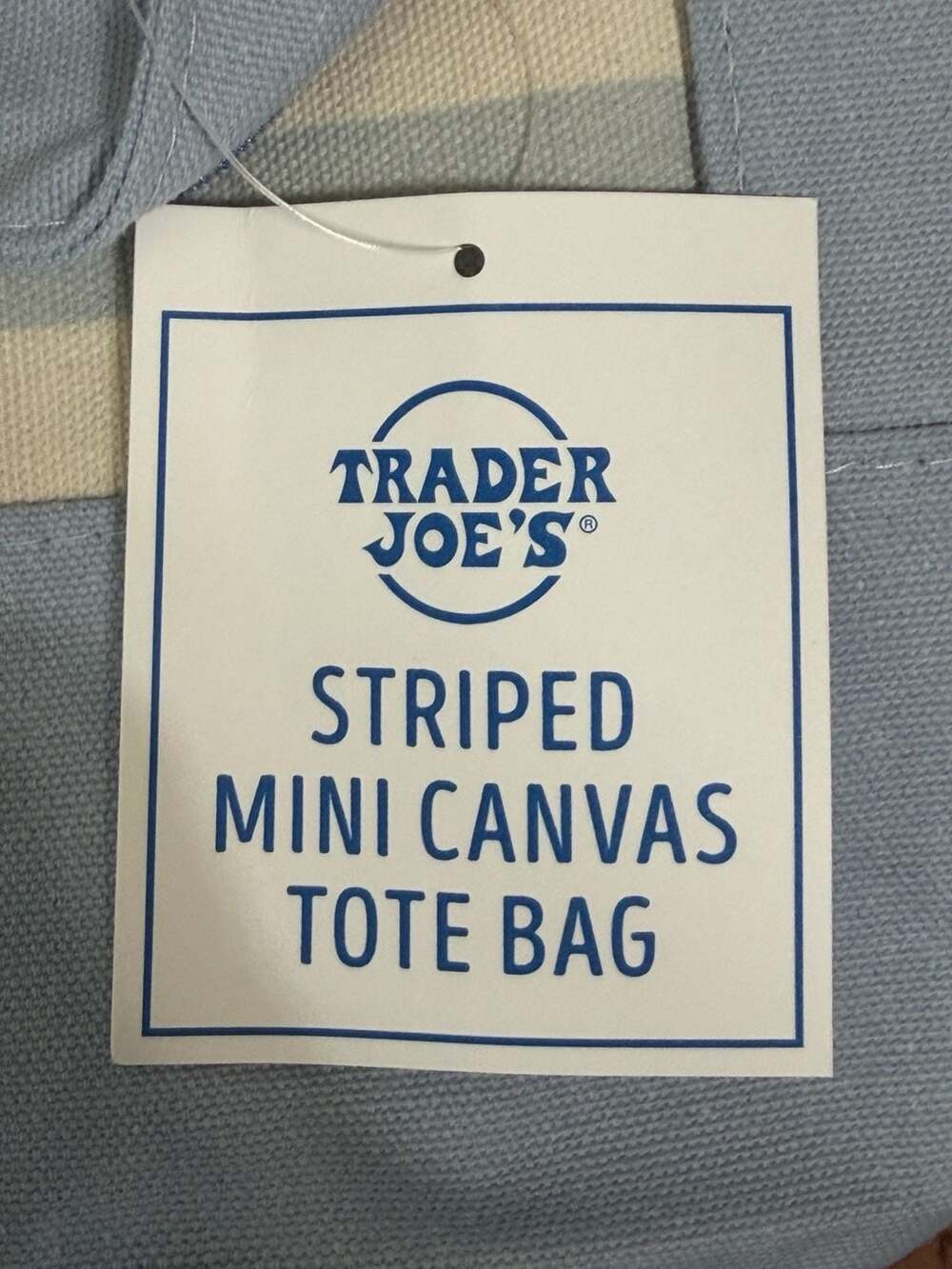 Trader Joe's Striped Mini Canvas Tote Bag, Pastel Blue - Picture 4 of 5